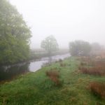 dartmoor_landschaft