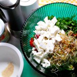 Sprossen-Salat aus Bockshornklee