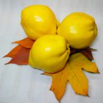 Quitten-Gelee mit Williams-Christ-Birnen-Frucht